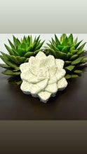 Load image into Gallery viewer, 🌿 Egyptian Miracles Aloe Vera & White Floral Shampoo Bar 🌿 ✨ Vegan & Cruelty-Free – Never tested on animals | Free Reusable Bag & Container | Free Shampoo Bar Dish