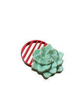 Load image into Gallery viewer, Egyptian Miracles Golden Oasis Shampoo Bar - Succulent Shape and Vegan and Cruelty Free with Free Reusable Bag and Container and Free Shampoo Bar Dish