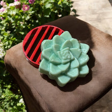 Load image into Gallery viewer, Egyptian Miracles Golden Oasis Shampoo Bar - Succulent Shape and Vegan and Cruelty Free with Free Reusable Bag and Container and Free Shampoo Bar Dish