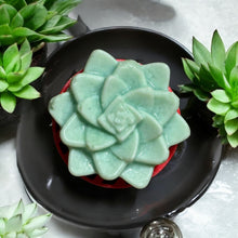 Load image into Gallery viewer, Egyptian Miracles Golden Oasis Shampoo Bar - Succulent Shape and Vegan and Cruelty Free with Free Reusable Bag and Container and Free Shampoo Bar Dish