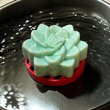 Load image into Gallery viewer, Egyptian Miracles Golden Oasis Shampoo Bar - Succulent Shape and Vegan and Cruelty Free with Free Reusable Bag and Container and Free Shampoo Bar Dish