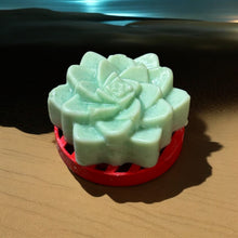 Load image into Gallery viewer, Egyptian Miracles Golden Oasis Shampoo Bar - Succulent Shape and Vegan and Cruelty Free with Free Reusable Bag and Container and Free Shampoo Bar Dish