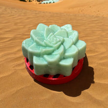 Load image into Gallery viewer, Egyptian Miracles Golden Oasis Shampoo Bar - Succulent Shape and Vegan and Cruelty Free with Free Reusable Bag and Container and Free Shampoo Bar Dish