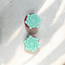 Load image into Gallery viewer, Egyptian Miracles Golden Oasis Shampoo Bar - Succulent Shape and Vegan and Cruelty Free with Free Reusable Bag and Container and Free Shampoo Bar Dish