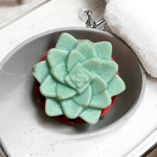 Load image into Gallery viewer, Egyptian Miracles Golden Oasis Shampoo Bar - Succulent Shape and Vegan and Cruelty Free with Free Reusable Bag and Container and Free Shampoo Bar Dish
