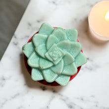 Load image into Gallery viewer, Egyptian Miracles Golden Oasis Shampoo Bar - Succulent Shape and Vegan and Cruelty Free with Free Reusable Bag and Container and Free Shampoo Bar Dish