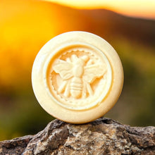 Load image into Gallery viewer, Egyptian Miracles Pyramid Bloom Shampoo Bar – Tropical Nourishment & Hydration - Small Size - Vegan with Free Reusable Bag and Container and Free Shampoo Bar Dish and Cruelty Free