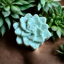Load image into Gallery viewer, Egyptian Miracles Golden Oasis Shampoo Bar - Succulent Shape and Vegan and Cruelty Free with Free Reusable Bag and Container and Free Shampoo Bar Dish