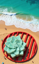 Load and play video in Gallery viewer, Egyptian Miracles Golden Oasis Shampoo Bar - Succulent Shape and Vegan and Cruelty Free with Free Reusable Bag and Container and Free Shampoo Bar Dish